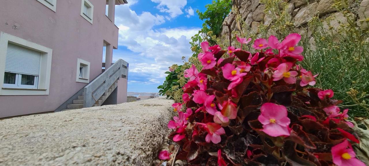 Apartmani Cesar Rtina Bagian luar foto