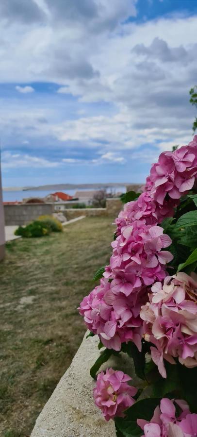 Apartmani Cesar Rtina Bagian luar foto